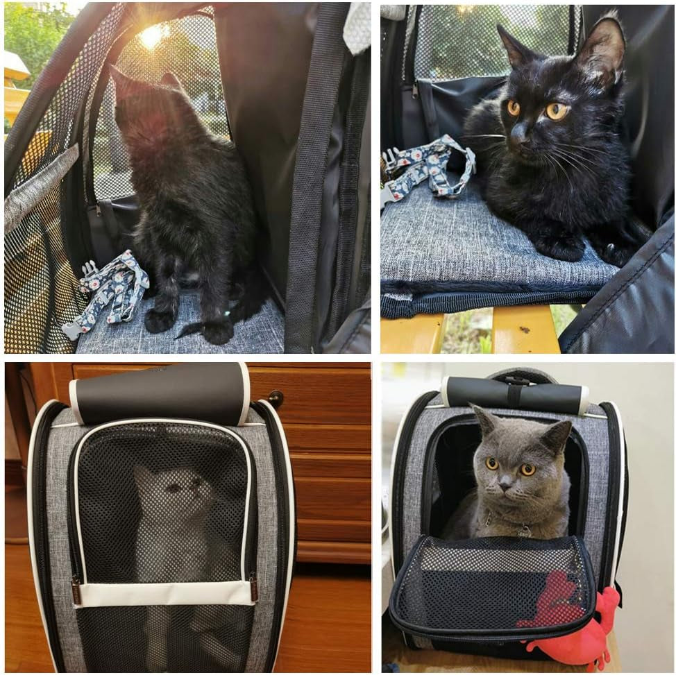 Innovative Bubble Window Pet Carrier Backpack for Cats & Small Dogs – Breathable Travel Backpack with Ventilated Design, Comfortable, Airline-Friendly, Durable & Portable