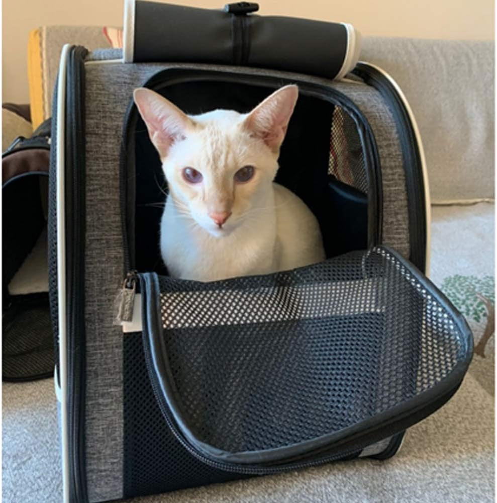 Innovative Bubble Window Pet Carrier Backpack for Cats & Small Dogs – Breathable Travel Backpack with Ventilated Design, Comfortable, Airline-Friendly, Durable & Portable